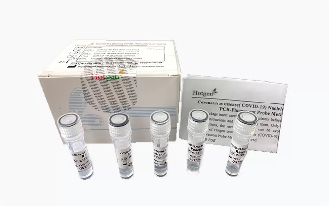 Polymerase Chain Reaction (PCR) Product