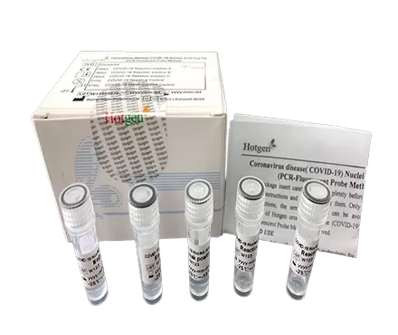 Polymerase Chain Reaction (PCR) Product