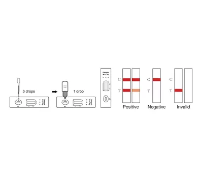 Operation Procedures of Hotgen Colloidal Gold (CG) Rapid Tests